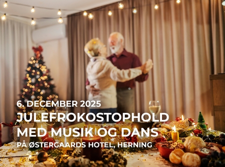 Julefrokost ophold