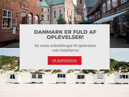oplevelser danmark ferie løkken ribe