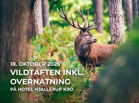 Vildtaften Hjallerup